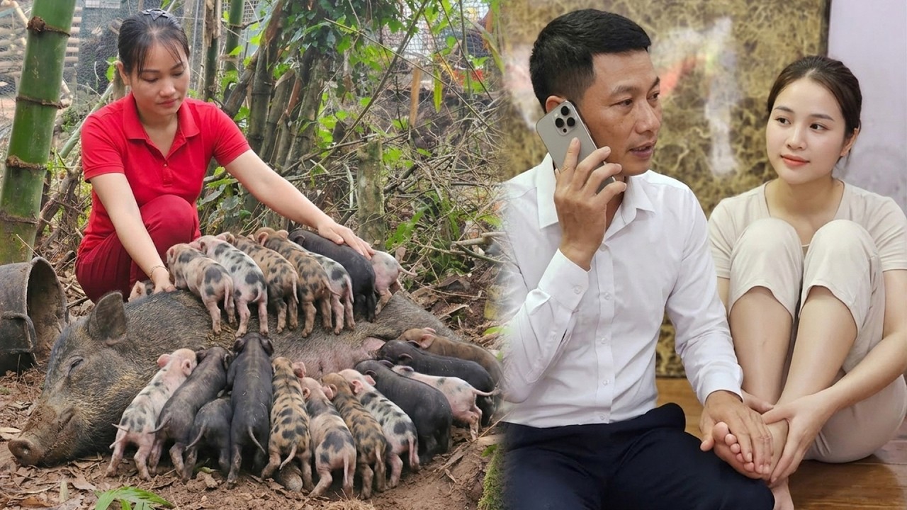 Their First Call After the Breakup… While AN Cares for Newborn Piglets 🐷