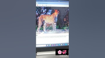 #coding #shortsfeed #shortsvideo #shorts #html #ytshorts #computer