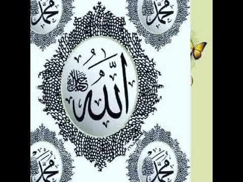 MAULIDIN SAYYIDA FATIMA MUHSINIYYAH GROUP M