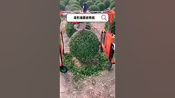 trimming round ball machine/round plant trimming machine /automatic trimming machine