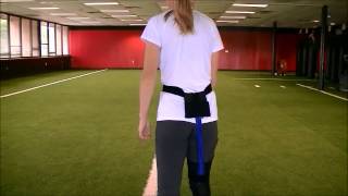 BIOCOR Trainerzone Hamstring Brace