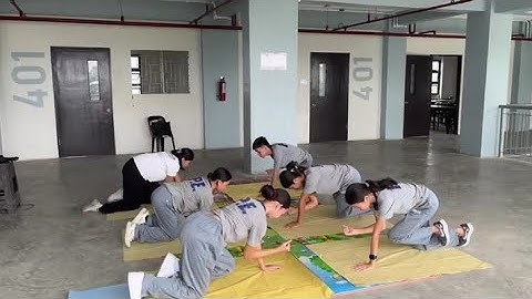 PATHFIT (Group Mini Performance Task – Bird Dog & Dead Bug Exercises) by: Group 2