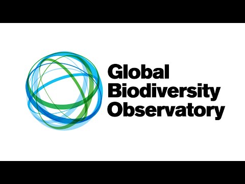 Global Biodiversity Observatory to Reverse the Sixth Extinction