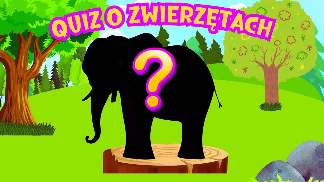 Quizy Po Polsku Dla Dzieci ZABAWA/QUIZ O ZWIERZĘTACH DLA DZIECI - Film dla dzieci po polsku - YouTube