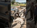 مشاء الله العريفي Duet اهميه Automobile اعتني Farming المراه اكسبلور النظافه Animals مشاء الله العريفي Duet اهميه Automobile اعتني Farming المراه اكسبلور النظافه Animals