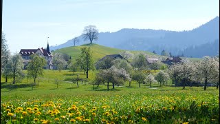 Spring time in Menzingen , Switzerland