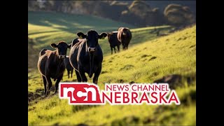 Early Voting Security Concerns | Headline News | Nebraska April 26th, 2024