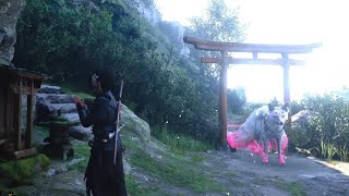 Assassin's Creed Shadows - Floating rocks!