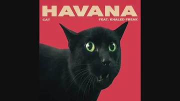 Camila Cabello - Havana (Covered by Cats)
