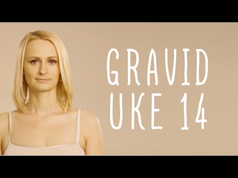 Gravid uke 14