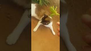 20190812 143442 1