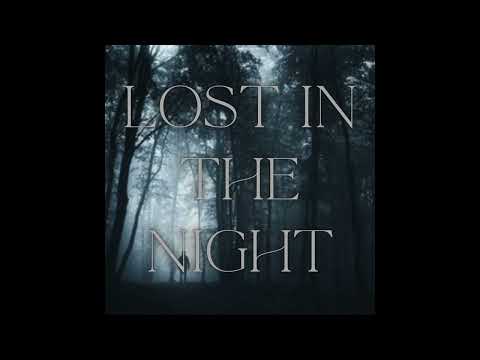 Lost In The Night - DIØR