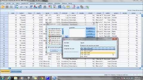 Video Spss capitulo 1