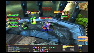 5 Lvl 1 S Vs. Lvl 23 Elite - Grand Foreman Puzik Gallywix Hd