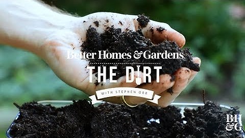 Composting for Beginners | The Dirt | Better Homes & Gardens