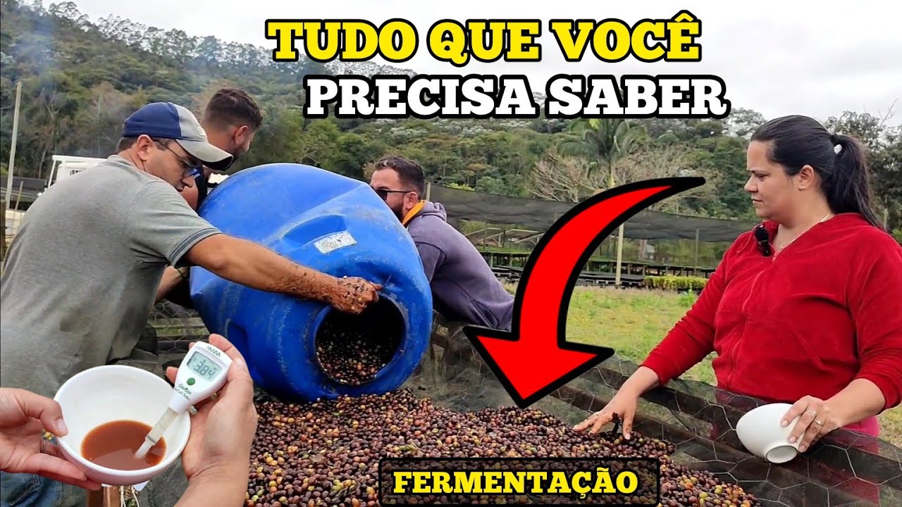 COMO É FEITO A FERMENTAÇÃO POSITIVA DO CAFÉ ESPECIAL(PASSO A PASSO)