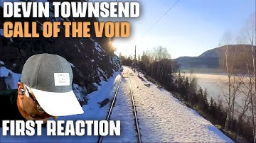 Musician/Producer Reacts to "Call Of The Void" by Devin Townsend