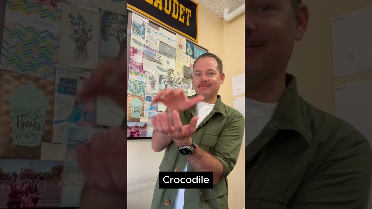 How to Sign "Crocodile" in ASL