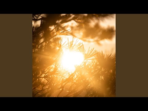 Sunshine - Alpha Sinus 112Hz - 119Hz