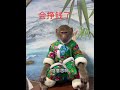 Magical Animals on Douyin How Cuddly Can Small Animals Be Cute Pet Debut Plan @ Uncle Baboon They