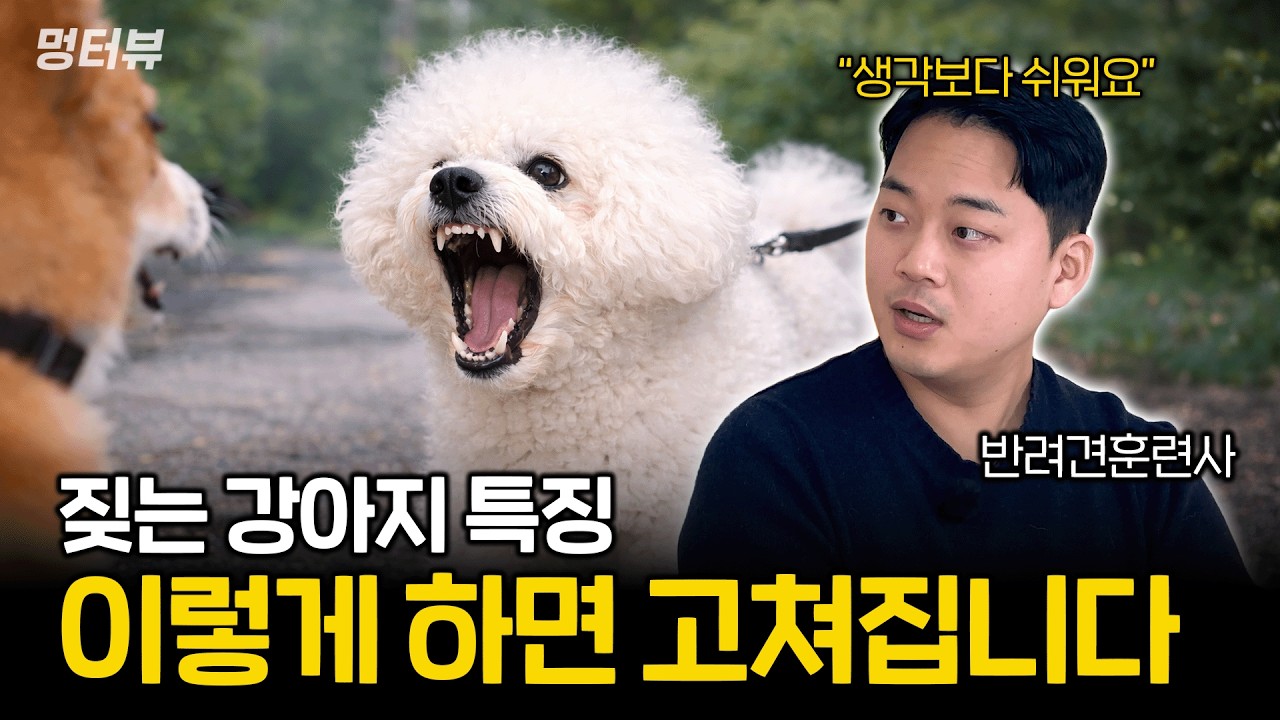 강아지가 계속 짖는 진짜 이유 (이걸 모르고 훈련하면 평생 짖습니다) | 멍터뷰ep.67