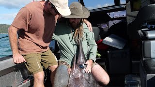 Battle With a Giant Swordfish