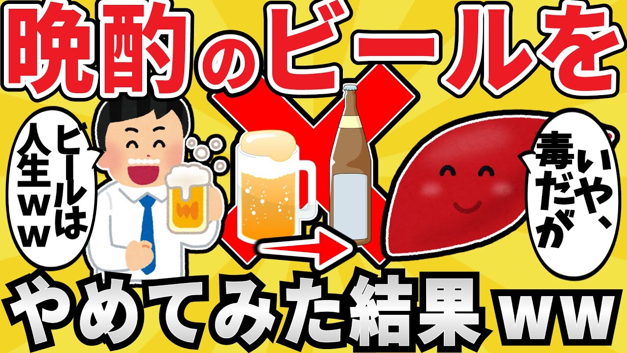 【注意】毎晩のビールをやめたら人生変わったんだがwww【有益スレ】【ゆっくり解説】