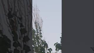 Hawker 800XP2 LV-IWV