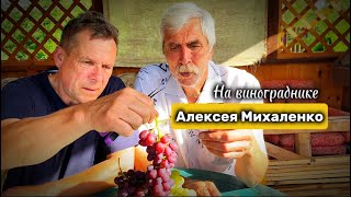 видео: Обзор виноградника Алексея Михаленко (Полоцкий район д.Межно) картинка: Обзор виноградника Алексея Михаленко (Полоцкий район д.Межно)