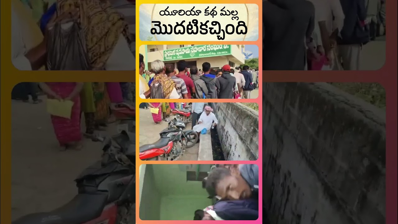 "The App" does not work. Struggle for UREA continues!