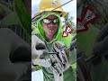 restore cut off sdw hit by truck #lineman #youtubeshorts #highlights #pobrenglineman
