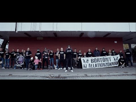 Essemm - Kóbor Kutyák