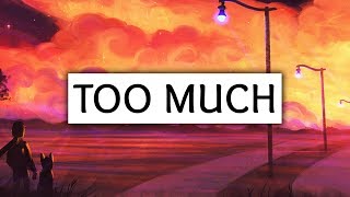 Video thumbnail of "ZAYN ‒ Too Much (Lyrics) ft. Timbaland"