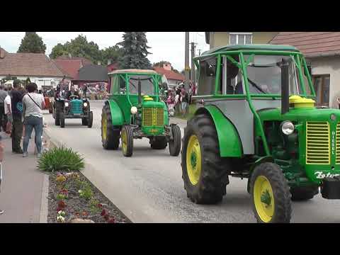 Video: Onoklea - Starodávna Papraď