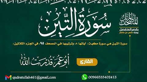 سورة التين بصوت أبو عمر قدرت الله