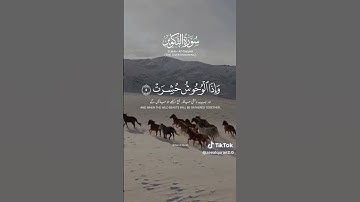 سورة التكوير