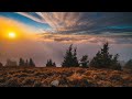 Healing sleep music  gentle music for anxiety and sleep disorders relaxing music relieves stress