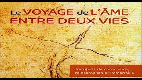 Le voyage de l'me entre deux vies avec Bernard Bau...