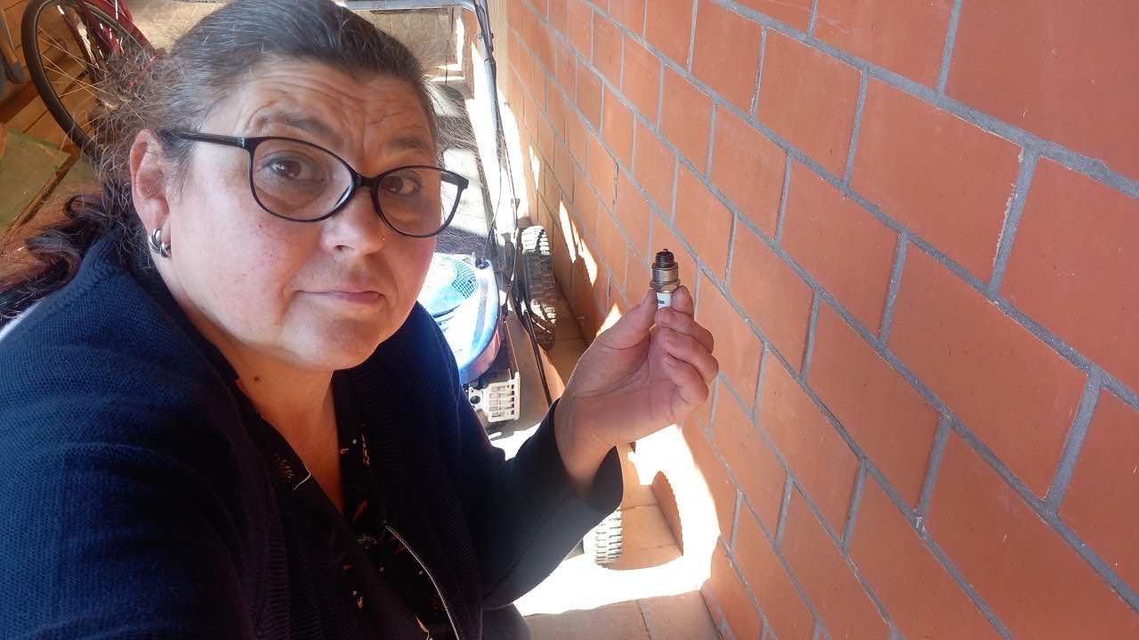 В начале отремонтировала, а только потом, косила газон газонокосилкой ...