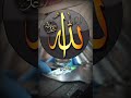القطط مليئة بالمكروبات قطط معلومات حقائق اكسبلور Shorts Fyp القطط مليئة بالمكروبات قطط معلومات حقائق اكسبلور Shorts Fyp