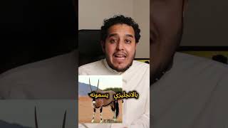 اسرار نجاحك تكمن في معرفة هذا الشئ