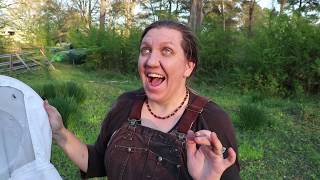 LESSONS LEARNED In Beekeeping! How NOT to Make My Mistakes!