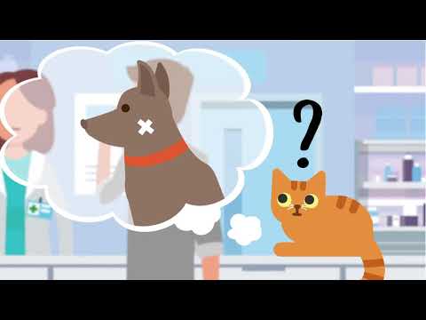Vidéo: Top 10 Des Médicaments En Vente Libre Recommandés Par Les Vétérinaires