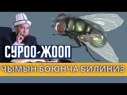 Video: Кара чымын деген эмнени билдирет?