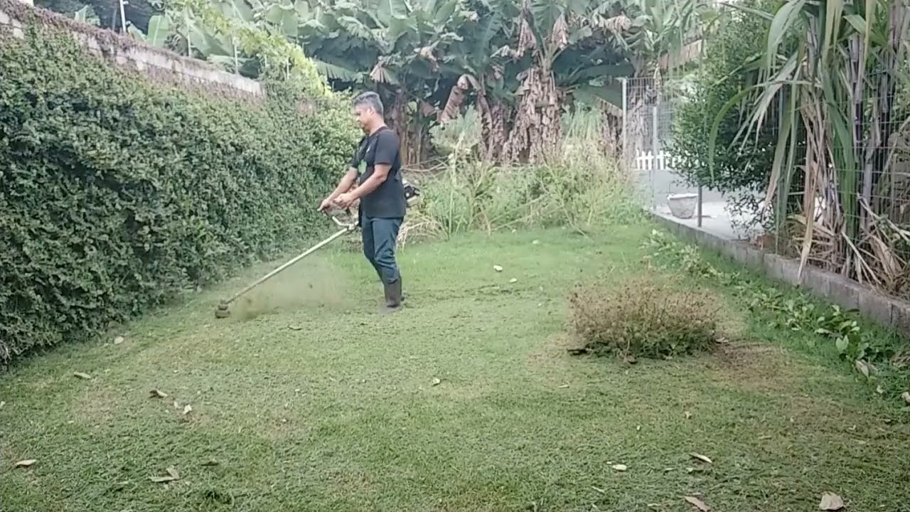 Testando a roçadeira Garthen CG350, uso até para cortar trepadeira de muro.