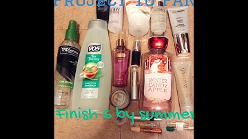 Spring Project 10 Pan update #1