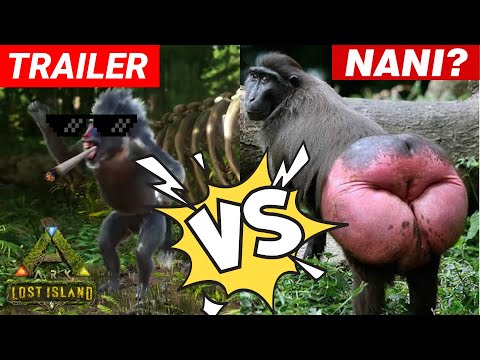 Lost Island Trailer vs Reality | Ark Memes