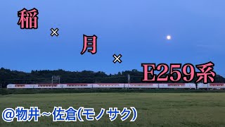 【稲×月×E259系】特急成田エクスプレス47号 物井〜佐倉(モノサク)通過