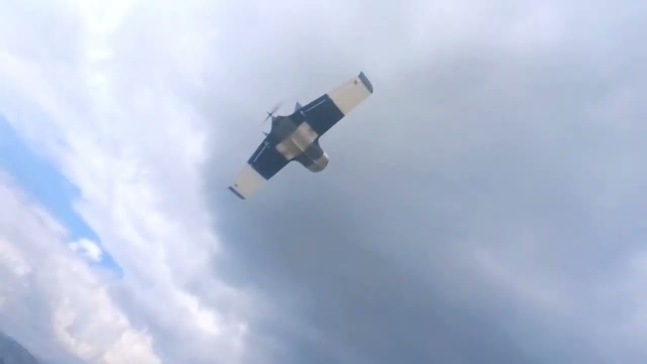 Craycle Orca V2 Perfect Maiden