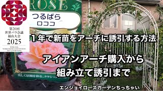 ロココ調ピンクローズのアーチ型特大リース〈光触媒・1点もの〉薔薇のリース 新苗ロココはうるオンプランターで育てると1年でアーチに仕立てる事の